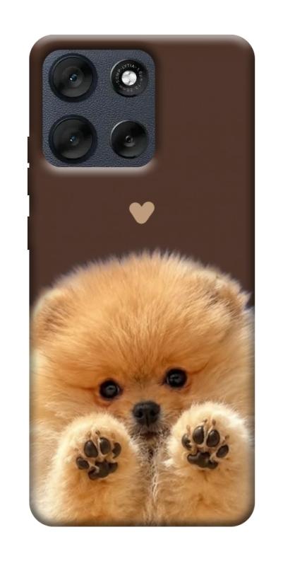 Чехол itsPrint Spitz on the screen для Motorola Moto G56 5G, песики, купить оптом с доставкой