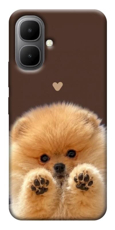 Чохол itsPrint Spitz on the screen для Infinix Smart 10, песики, купити оптом з доставкою