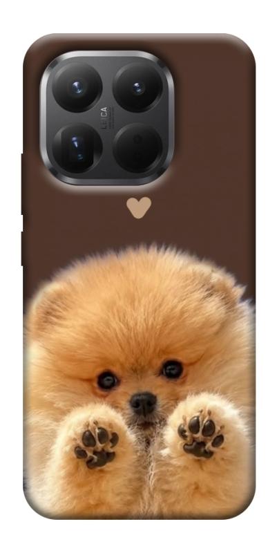 Чехол itsPrint Spitz on the screen для Xiaomi 15T Pro, песики, купить оптом с доставкой