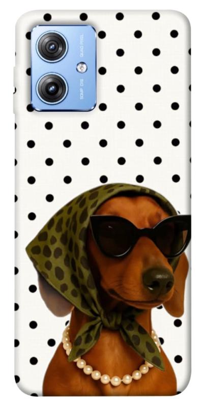Чехол itsPrint Swag для Motorola Moto G84, песики, купить оптом с доставкой