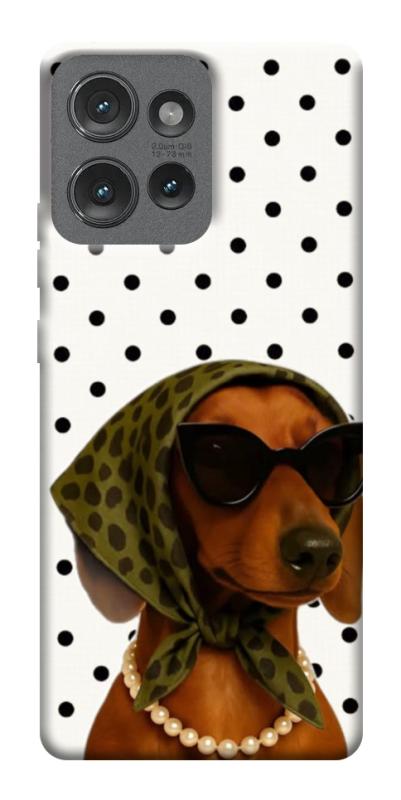 Чехол itsPrint Swag для Motorola Edge 50, песики, купить оптом с доставкой