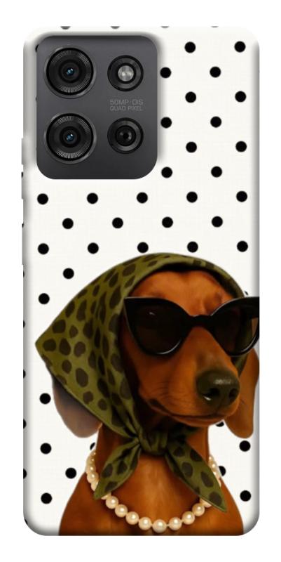 Чохол itsPrint Swag для Motorola Moto G75 5G, песики, купити оптом з доставкою