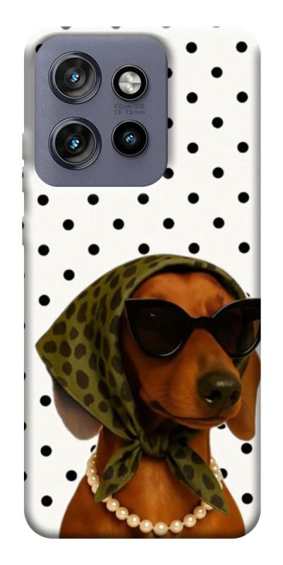 Чохол itsPrint Swag для Motorola Edge 50 Neo, песики, купити оптом з доставкою
