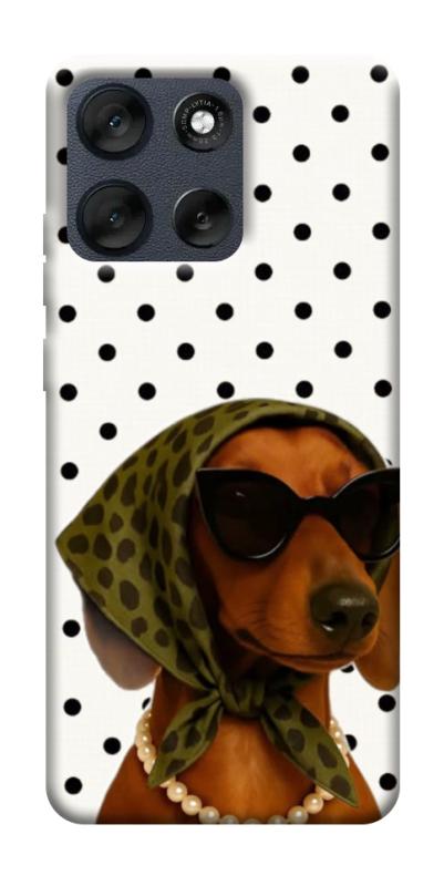 Чехол itsPrint Swag для Motorola Moto G56 5G, песики, купить оптом с доставкой