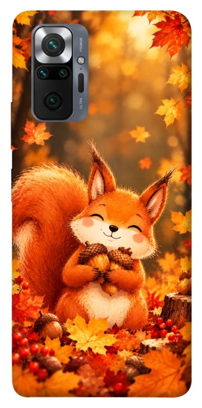 Чохол itsPrint Осіннє білченя для Xiaomi Redmi Note 10 Pro, тварини, купити оптом з доставкою