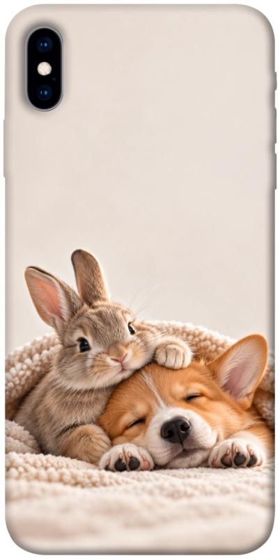 Чехол itsPrint Rabbit and corgi для Apple iPhone X (5.8"), armored, купить оптом с доставкой
