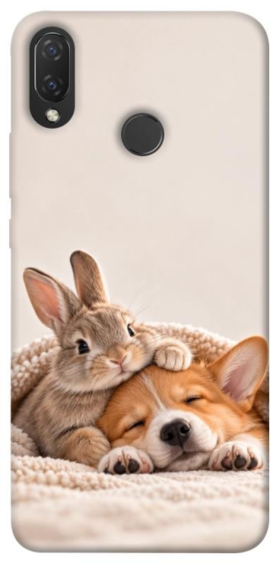 Чехол itsPrint Rabbit and corgi для Huawei P Smart+ (nova 3i), armored, купить оптом с доставкой