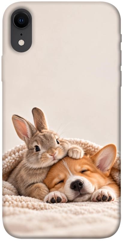 Чехол itsPrint Rabbit and corgi для Apple iPhone XR (6.1"), armored, купить оптом с доставкой