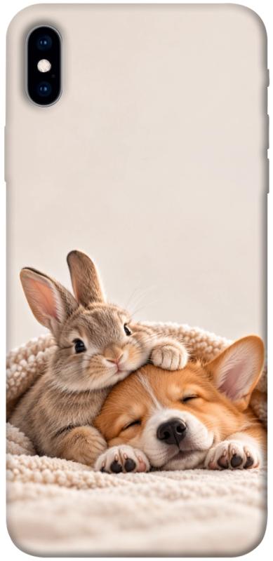 Чехол itsPrint Rabbit and corgi для Apple iPhone XS Max (6.5"), armored, купить оптом с доставкой