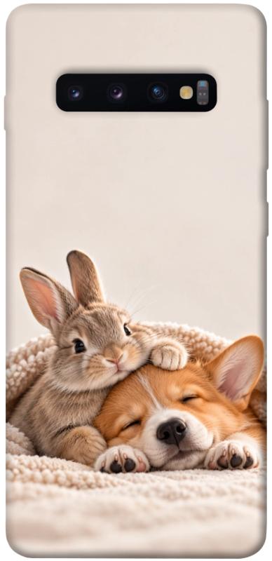 Чохол itsPrint Rabbit and corgi для Samsung Galaxy S10+, armored, купити оптом з доставкою