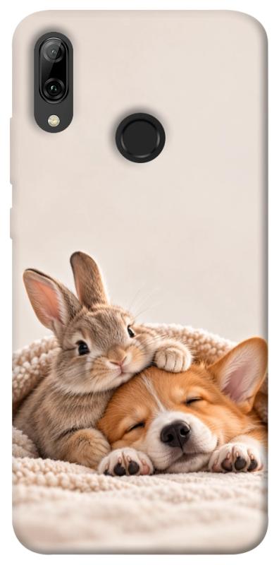 Чохол itsPrint Rabbit and corgi для Huawei P Smart (2019), armored, купити оптом з доставкою