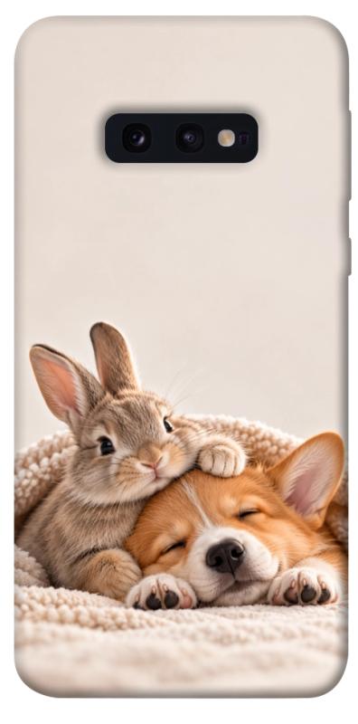 Чохол itsPrint Rabbit and corgi для Samsung Galaxy S10e, armored, купити оптом з доставкою