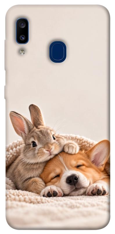 Чохол itsPrint Rabbit and corgi для Samsung Galaxy A20 / A30, armored, купити оптом з доставкою
