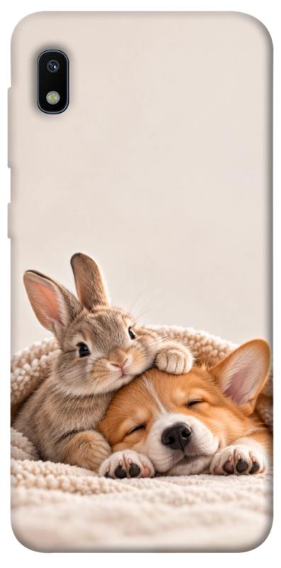 Чохол itsPrint Rabbit and corgi для Samsung Galaxy A10 (A105F), armored, купити оптом з доставкою