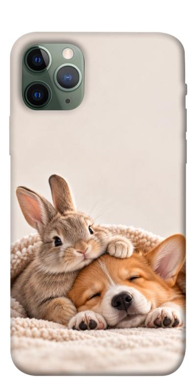 Чехол itsPrint Rabbit and corgi для Apple iPhone 11 Pro (5.8"), armored, купить оптом с доставкой