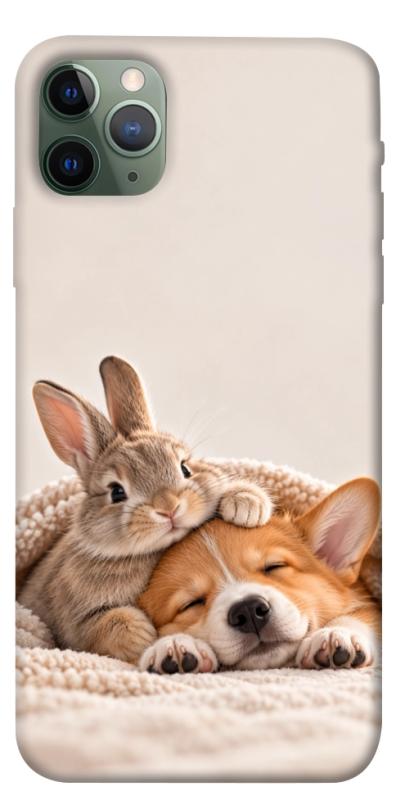 Чехол itsPrint Rabbit and corgi для Apple iPhone 11 Pro Max (6.5"), armored, купить оптом с доставкой