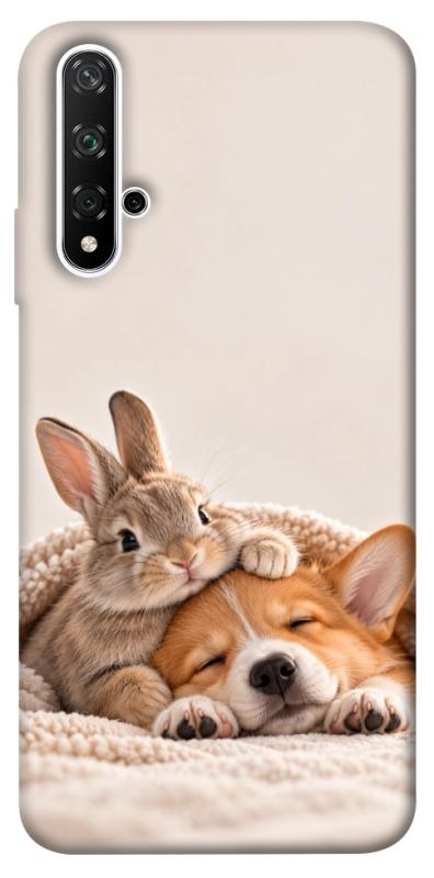 Чехол itsPrint Rabbit and corgi для Huawei Honor 20 / Nova 5T, armored, купить оптом с доставкой