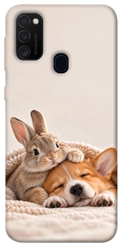 Чохол itsPrint Rabbit and corgi для Samsung Galaxy M30s / M21, armored, купити оптом з доставкою