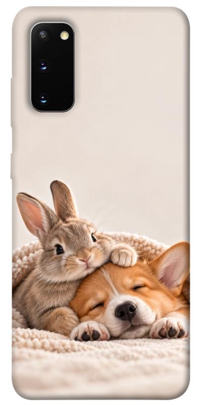 Чохол itsPrint Rabbit and corgi для Samsung Galaxy S20, armored, купити оптом з доставкою