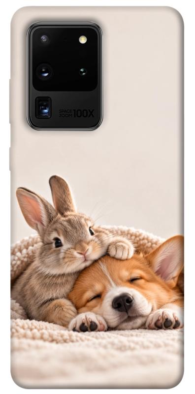 Чохол itsPrint Rabbit and corgi для Samsung Galaxy S20 Ultra, armored, купити оптом з доставкою