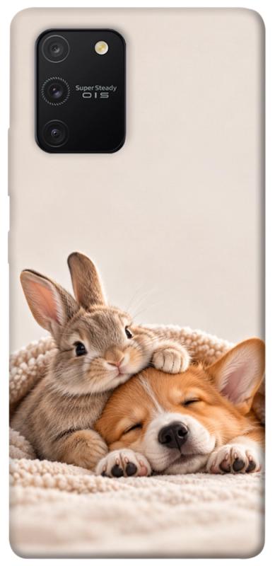 Чохол itsPrint Rabbit and corgi для Samsung Galaxy S10 Lite, armored, купити оптом з доставкою