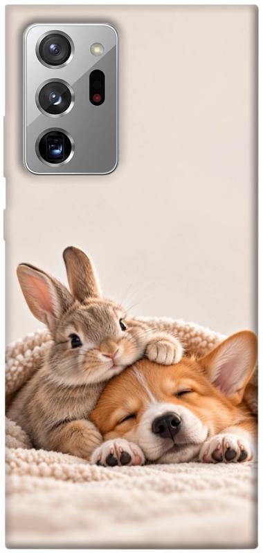 Чохол itsPrint Rabbit and corgi для Samsung Galaxy Note 20 Ultra, armored, купити оптом з доставкою