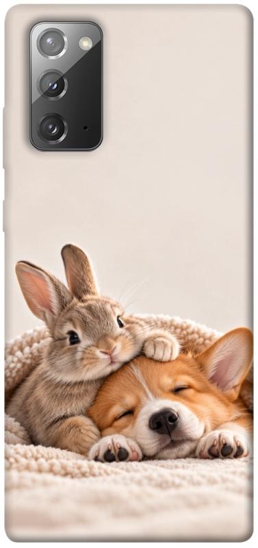 Чохол itsPrint Rabbit and corgi для Samsung Galaxy Note 20, armored, купити оптом з доставкою