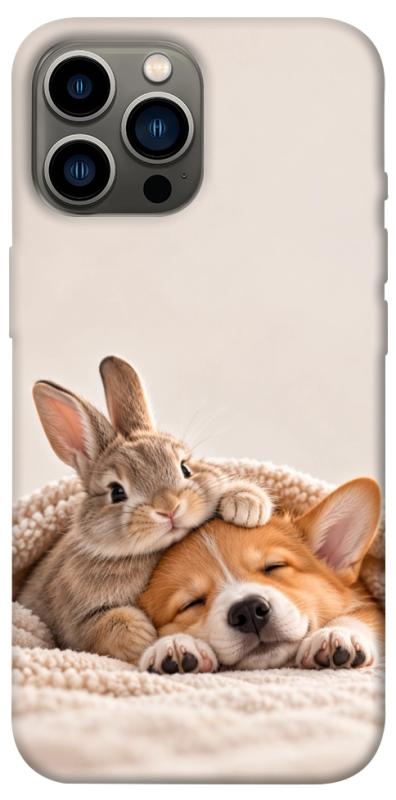Чехол itsPrint Rabbit and corgi для Apple iPhone 13 Pro Max (6.7"), armored, купить оптом с доставкой