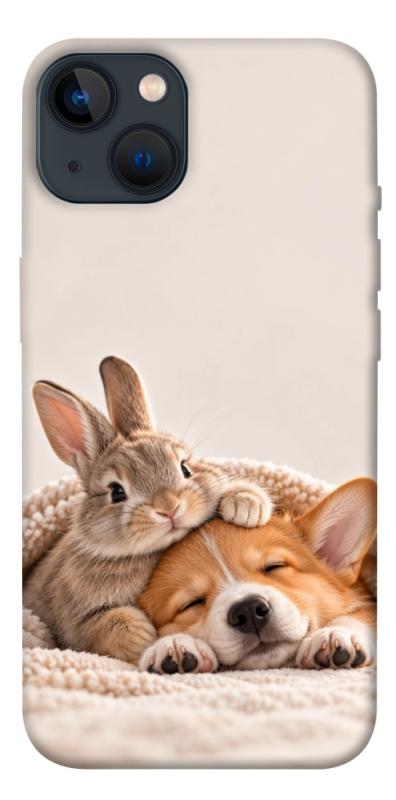 Чехол itsPrint Rabbit and corgi для Apple iPhone 13 (6.1"), armored, купить оптом с доставкой