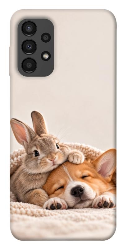 Чехол itsPrint Rabbit and corgi для Samsung Galaxy A13 4G, armored, купить оптом с доставкой