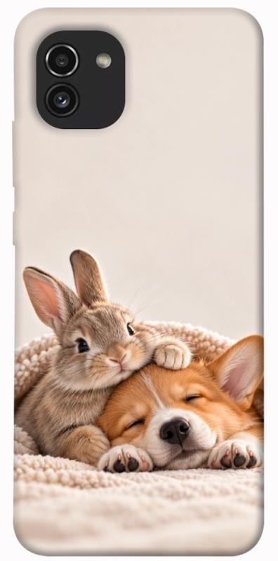 Чехол itsPrint Rabbit and corgi для Samsung Galaxy A03, armored, купить оптом с доставкой