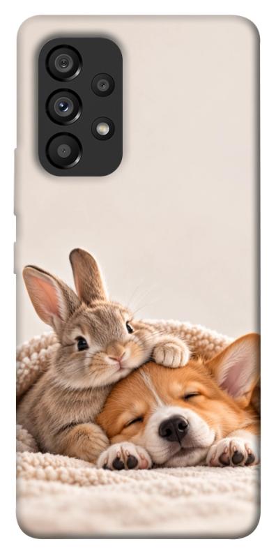 Чехол itsPrint Rabbit and corgi для Samsung Galaxy A53 5G, armored, купить оптом с доставкой