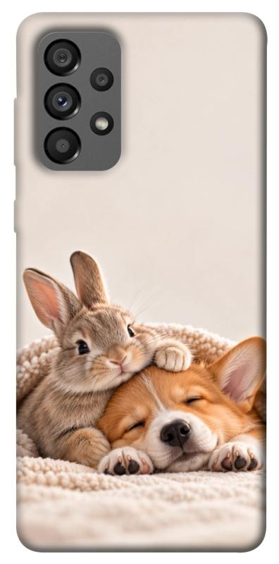 Чехол itsPrint Rabbit and corgi для Samsung Galaxy A73 5G, armored, купить оптом с доставкой
