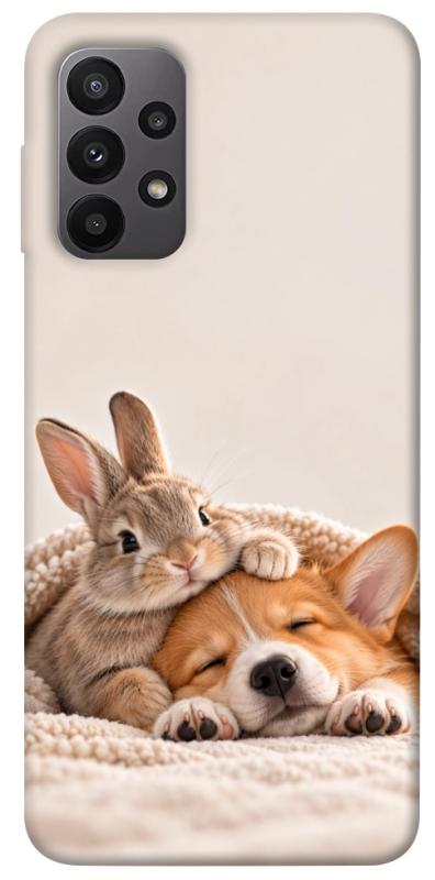 Чохол itsPrint Rabbit and corgi для Samsung Galaxy A23 4G, armored, купити оптом з доставкою