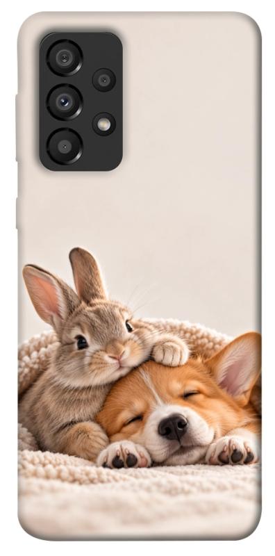 Чехол itsPrint Rabbit and corgi для Samsung Galaxy A33 5G, armored, купить оптом с доставкой