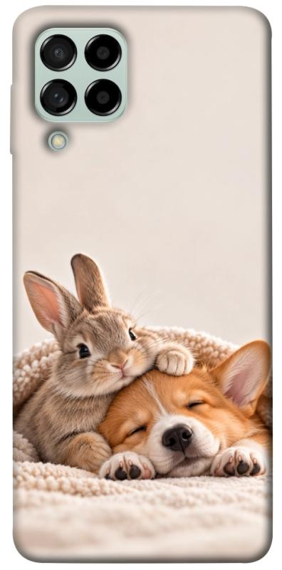 Чехол itsPrint Rabbit and corgi для Samsung Galaxy M53 5G, armored, купить оптом с доставкой
