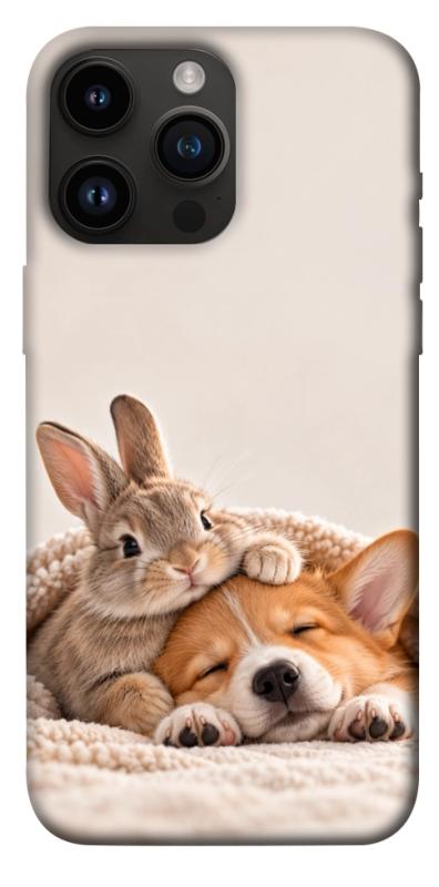 Чехол itsPrint Rabbit and corgi для Apple iPhone 14 Pro Max (6.7"), armored, купить оптом с доставкой