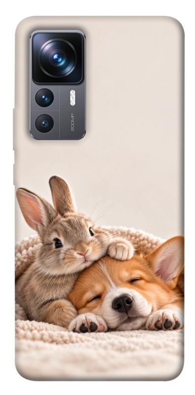 Чохол itsPrint Rabbit and corgi для Xiaomi 12T / 12T Pro, armored, купити оптом з доставкою