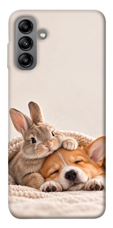 Чохол itsPrint Rabbit and corgi для Samsung Galaxy A04s, armored, купити оптом з доставкою