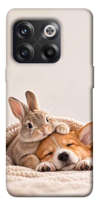 Чехол itsPrint Rabbit and corgi для OnePlus 10T, armored, купить оптом с доставкой