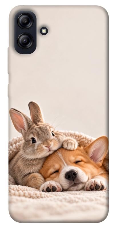 Чохол itsPrint Rabbit and corgi для Samsung Galaxy A04e, armored, купити оптом з доставкою