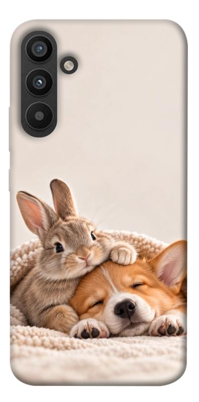 Чехол itsPrint Rabbit and corgi для Samsung Galaxy A34 5G, armored, купить оптом с доставкой