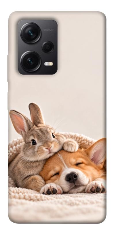 Чехол itsPrint Rabbit and corgi для Xiaomi Redmi Note 12 Pro+ 5G, armored, купить оптом с доставкой