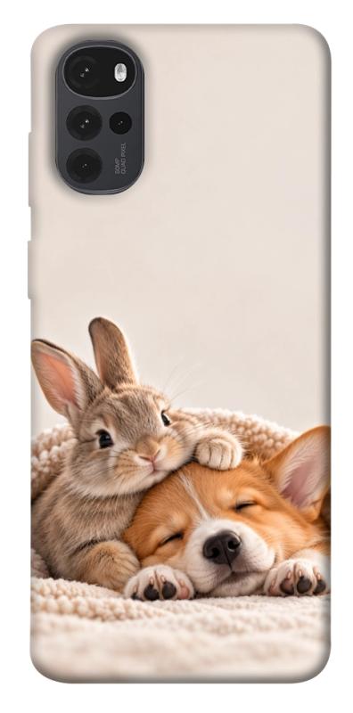 Чехол itsPrint Rabbit and corgi для Motorola Moto G22, armored, купить оптом с доставкой