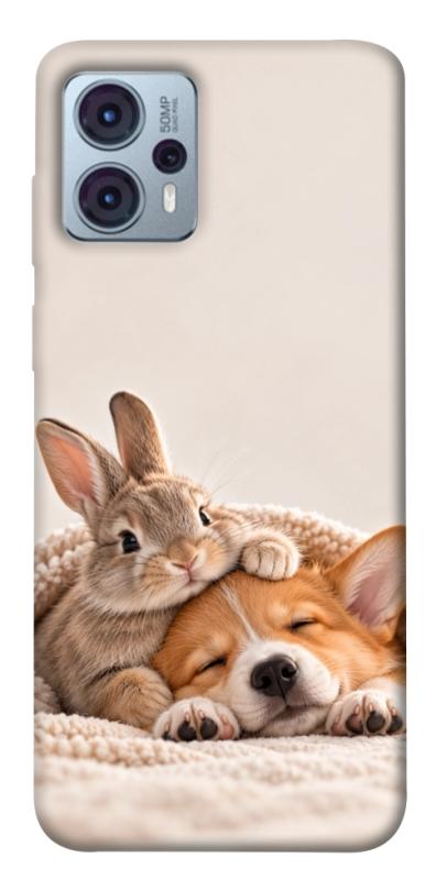 Чехол itsPrint Rabbit and corgi для Motorola Moto G23, armored, купить оптом с доставкой