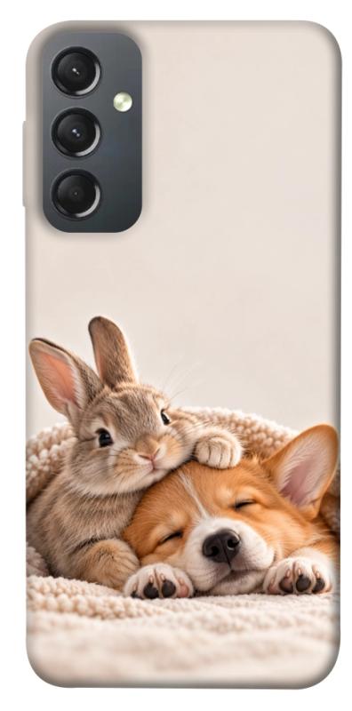 Чехол itsPrint Rabbit and corgi для Samsung Galaxy A24 4G, armored, купить оптом с доставкой