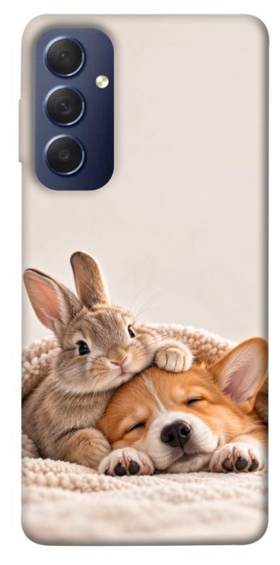 Чохол itsPrint Rabbit and corgi для Samsung Galaxy M54 5G, armored, купити оптом з доставкою