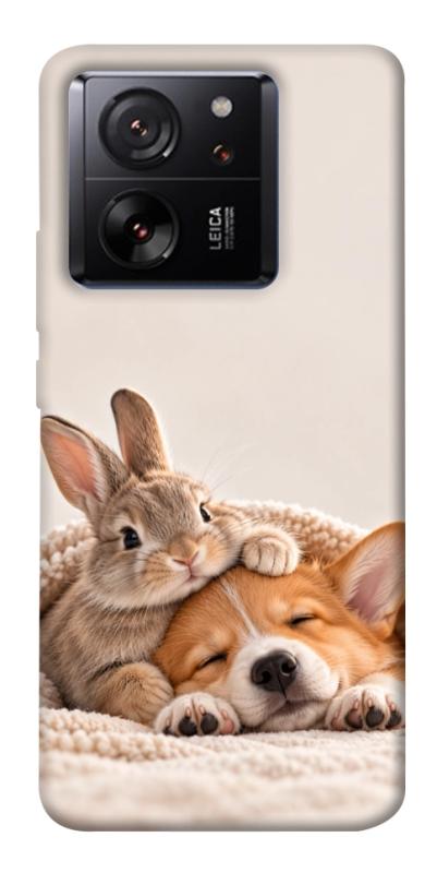 Чохол itsPrint Rabbit and corgi для Xiaomi 13T, armored, купити оптом з доставкою