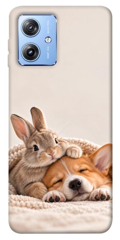 Чехол itsPrint Rabbit and corgi для Motorola Moto G84, armored, купить оптом с доставкой