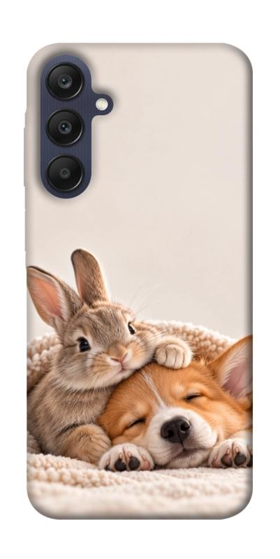 Чехол itsPrint Rabbit and corgi для Samsung Galaxy A25 5G, armored, купить оптом с доставкой